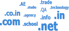 .COM and 700+ IDN domain